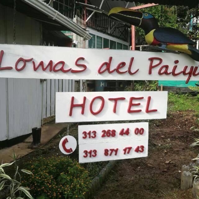 Hotel Lomas Del Paiyue Puerto Nariño Eksteriør bilde